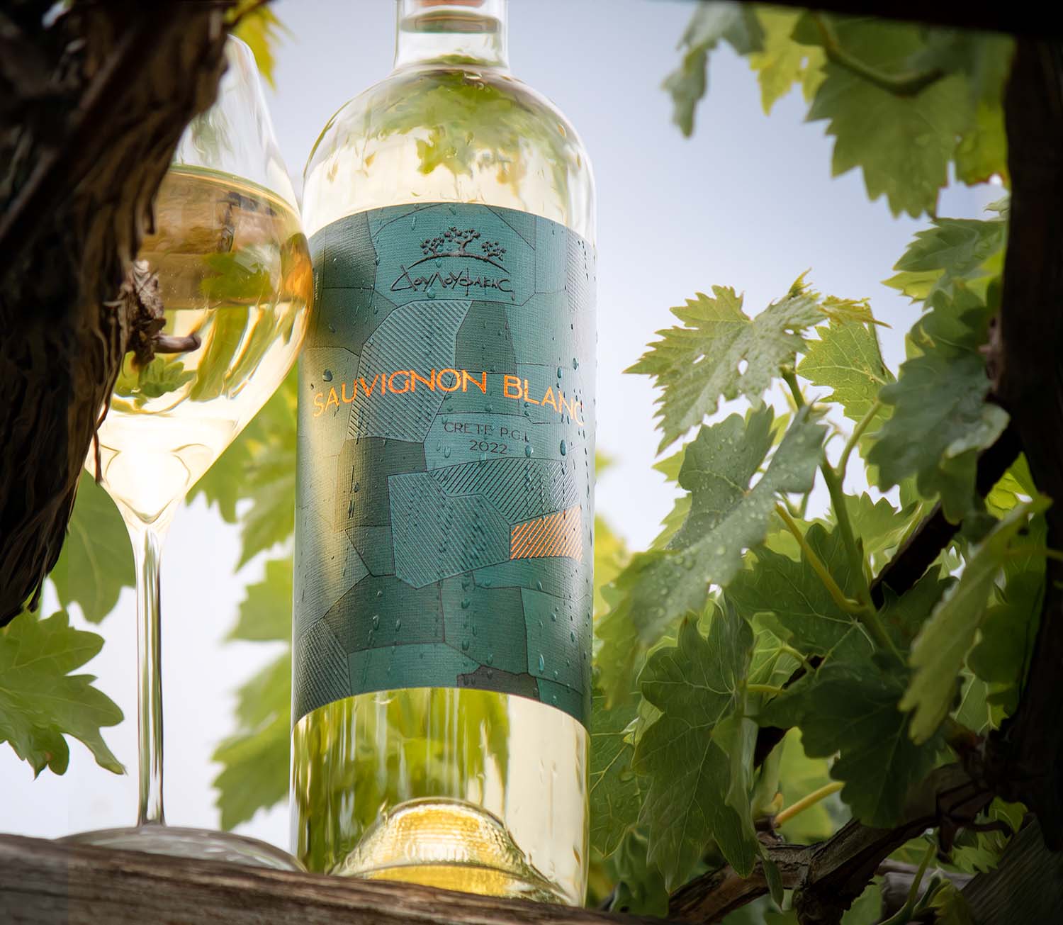 Sauvignon Blanc Δουλουφάκη - Λευκός Ξηρός οίνος